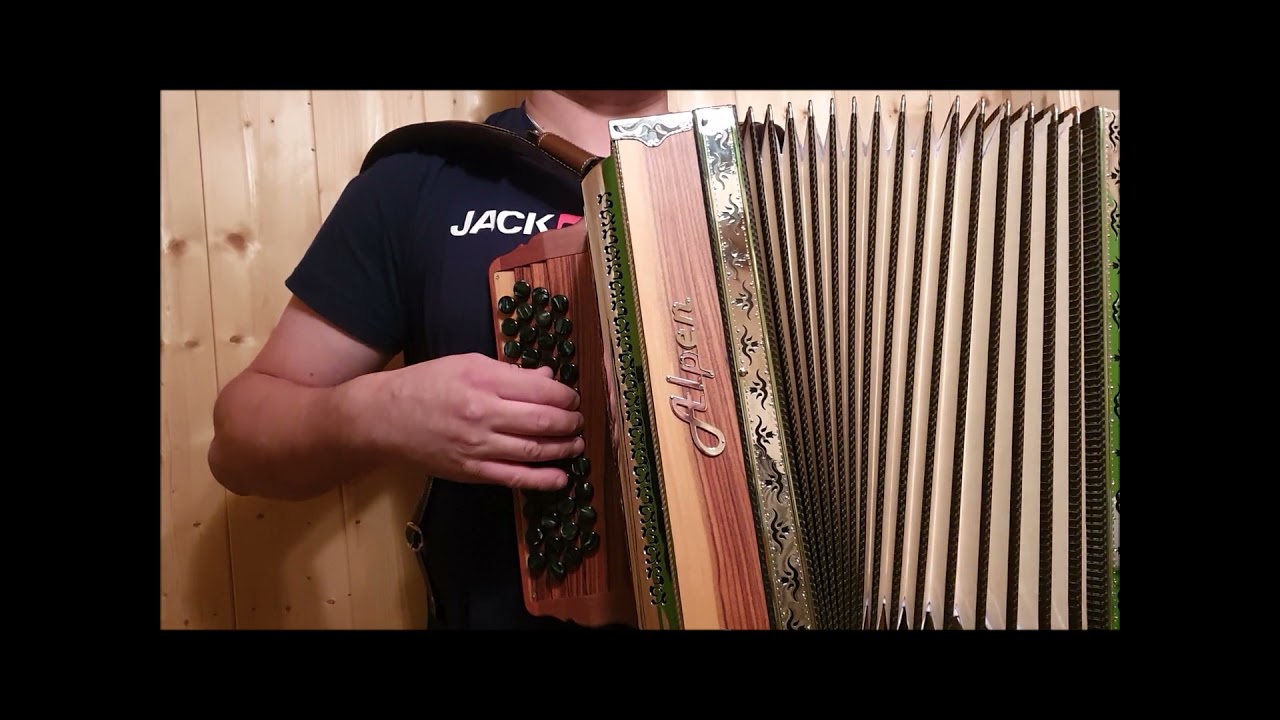 Alpen Harmonika Modell Natur Palisander Satos G C F B