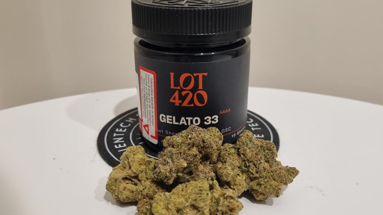 Lot 420 Gelato 33 - The Best Strain I've Ever Smoked