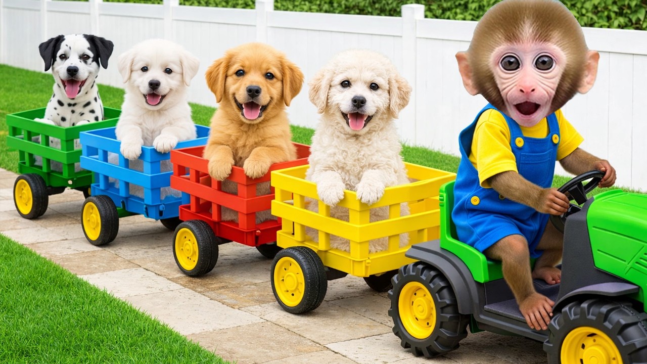 Bim Bim is so smart! The little boy helps his dad take care of five newborn puppies