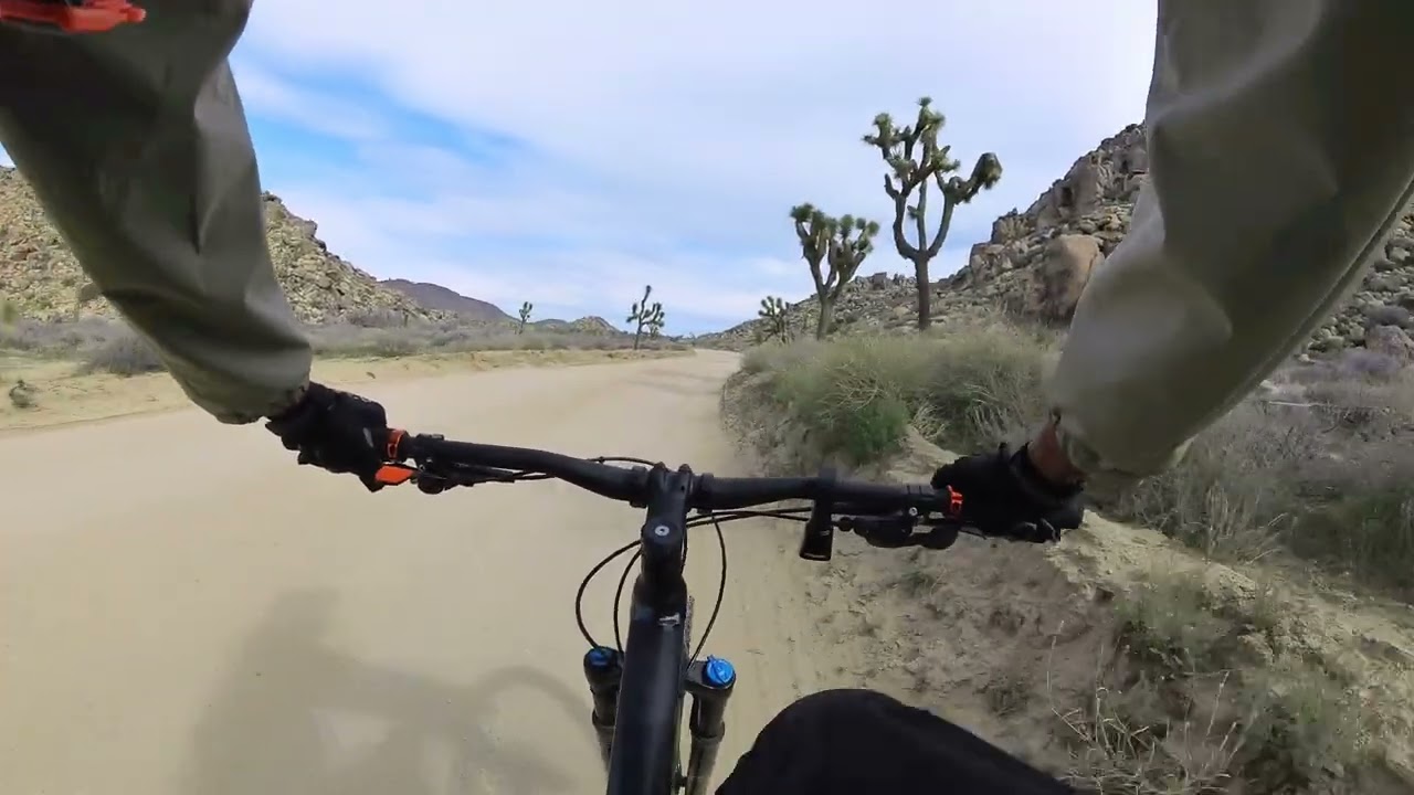 Joshua Tree National Park ride. 