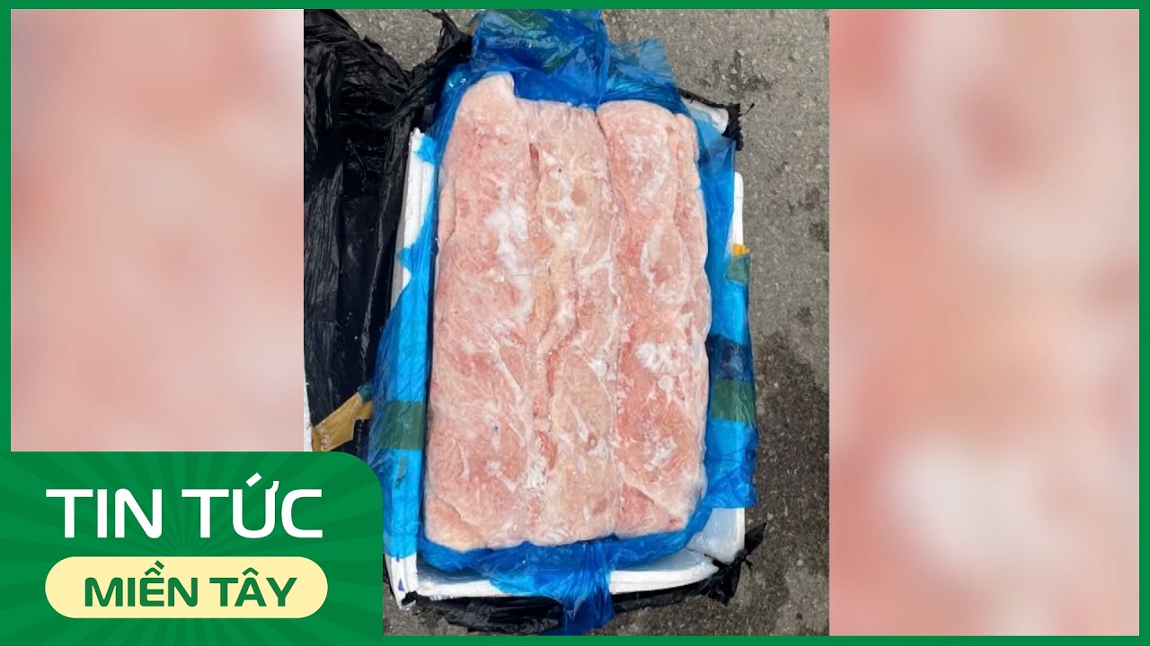 Phát hiện 600kg nầm heo ôi thiu trên xe tải | THDT