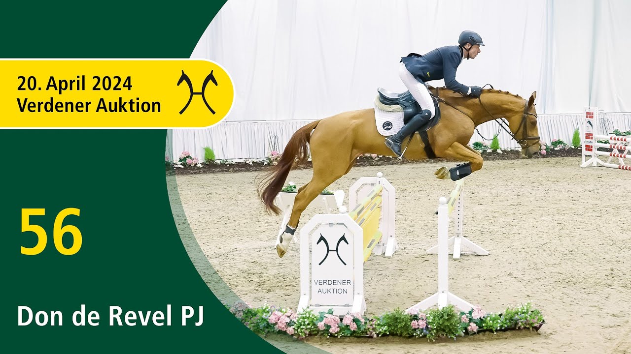Verden Auction Online - Sporthorses-April, 20- No. 56 Don de Revel PJ by Don VHP Z - Quidam de Revel