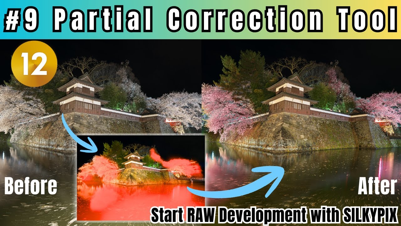 #9 Partial Correction Tool