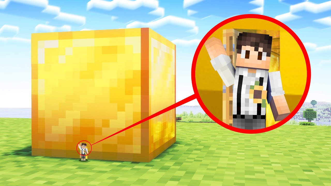 Minecraft, Aber Du Kannst In Jeden Block Gehen