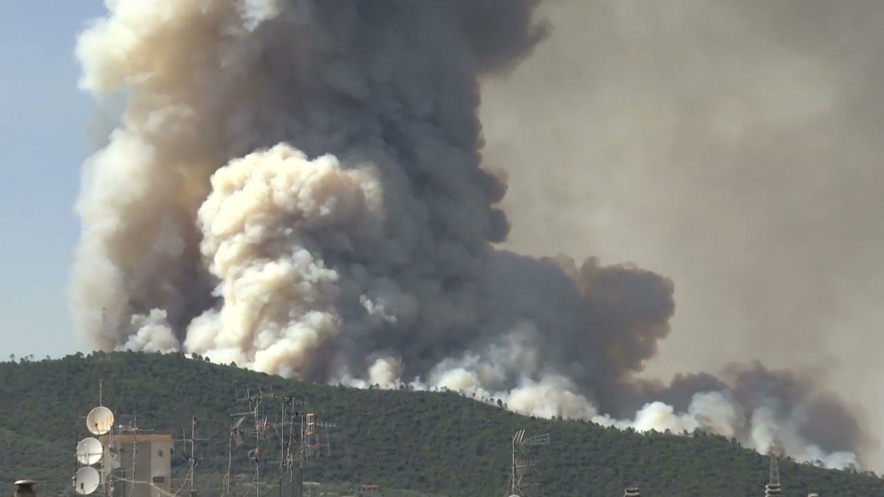 Taggia: incendio devasta bosco, Canadair e pompieri  impegnati per ore, cenere sparsa per chilometri