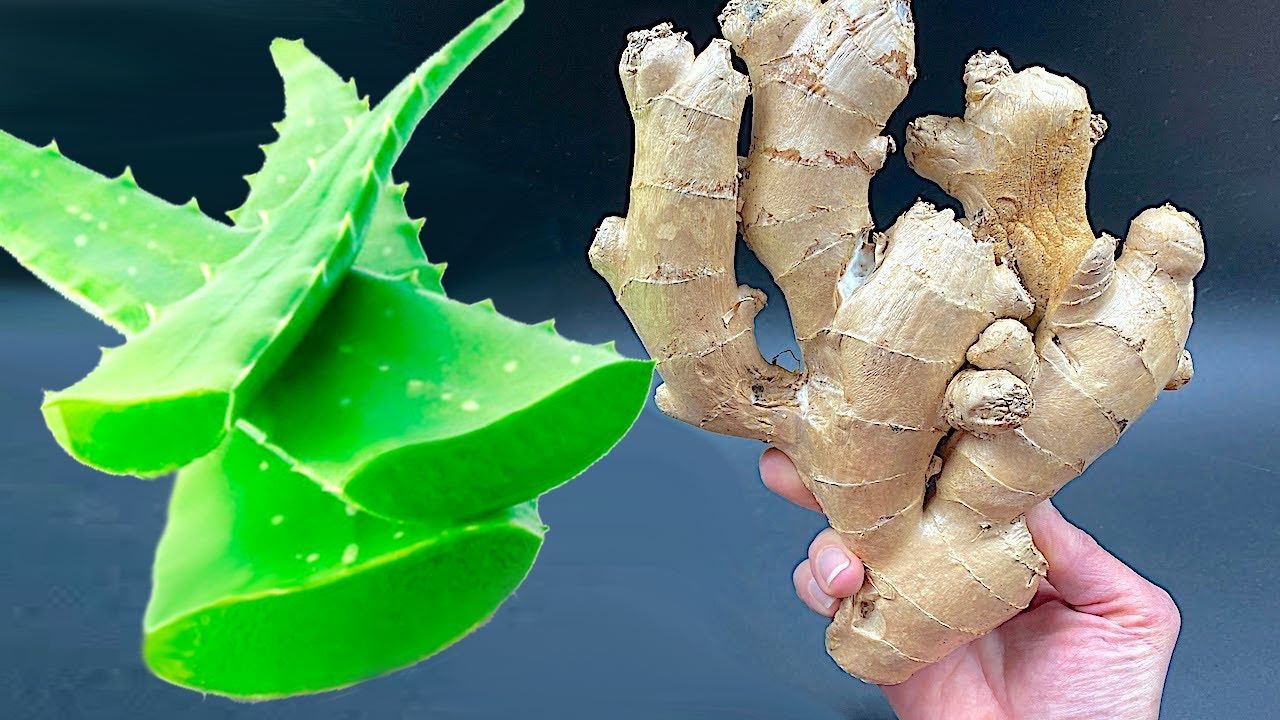 10 ANOS QUE NÃO FICO DOENTE 🍋 BOMBA Natural 🍋  DICA da vovó Diga adeus às dores
