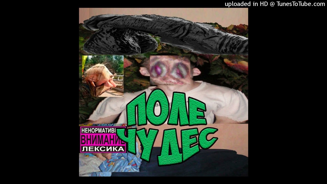 dabbackwood, chermak, veizu - поле чудес (30.01.25)