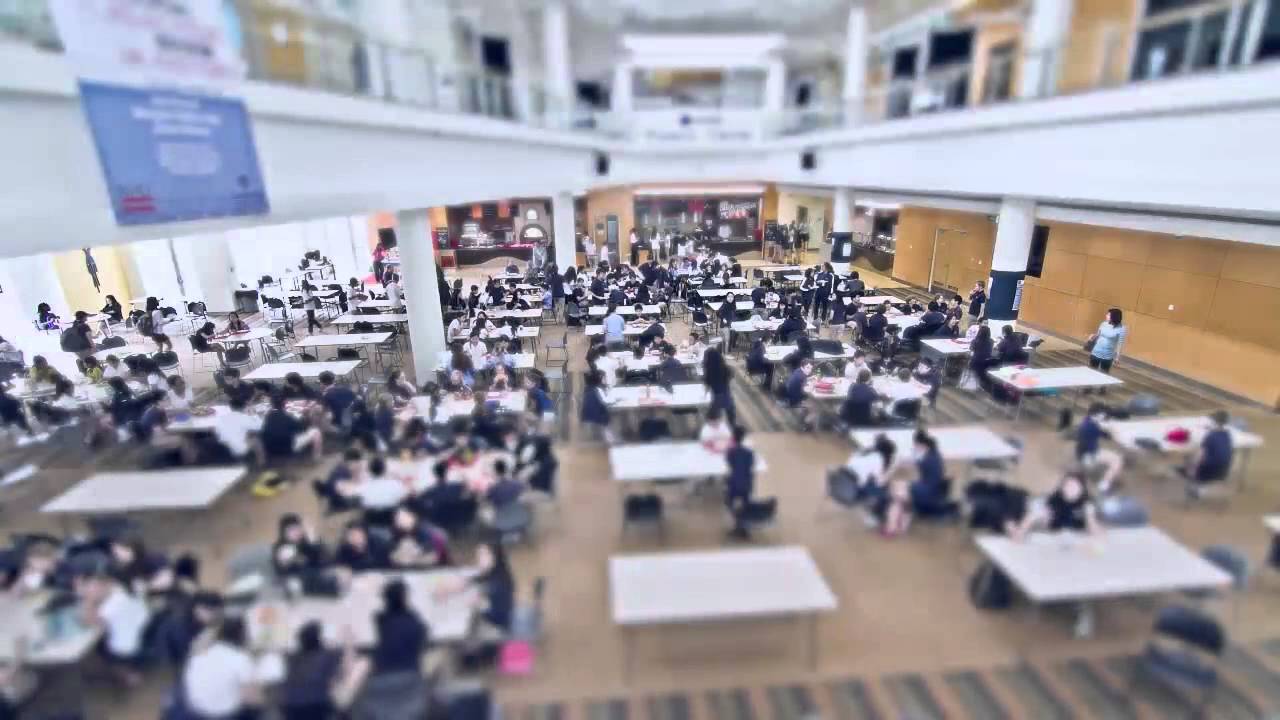 Day In The Life Of Concordia