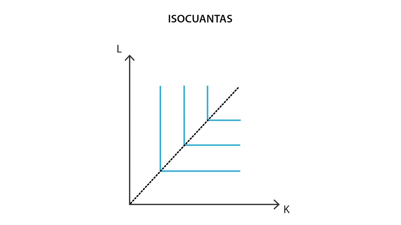 B.4 Relación marginal de sustitución técnica | Producción - Microeconomía