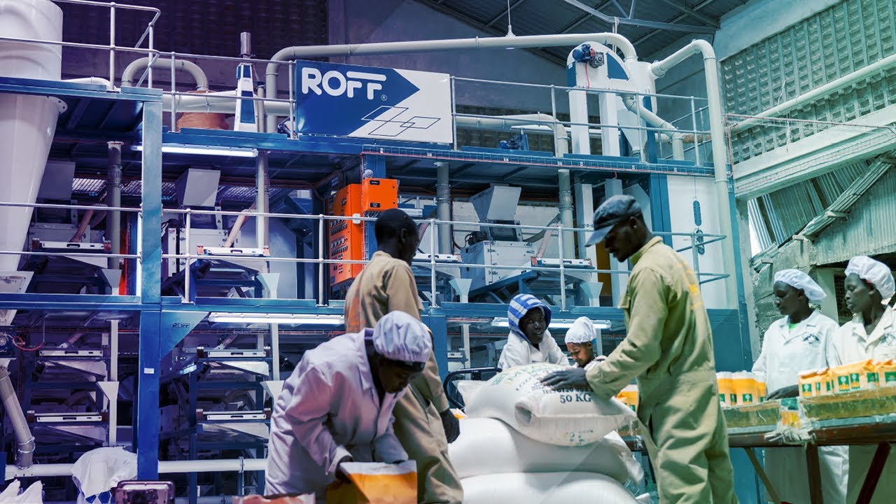 Roff Milling -  R-70 2 Ton per hour Maize Mill