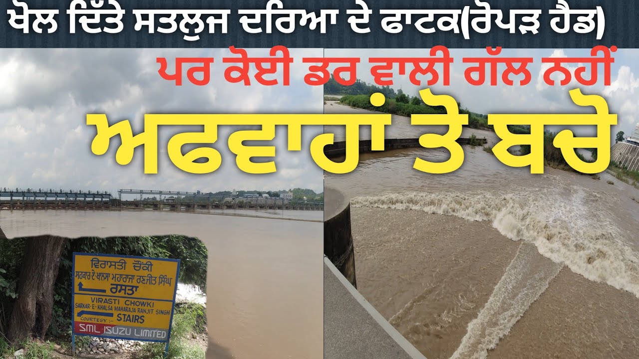 Punjab Flood Update!! ਖੋਲ ਦਿੱਤੇ ਸਤਲੁਜ ਦਰਿਆ ਦੇ ਫਾਟਕ! ਪਰ ਕੋਈ ਡਰ ਵਾਲੀ ਗੱਲ ਨਹੀਂ!! ਅਫਵਾਹਾਂ ਤੋਂ ਬਚੋ!!