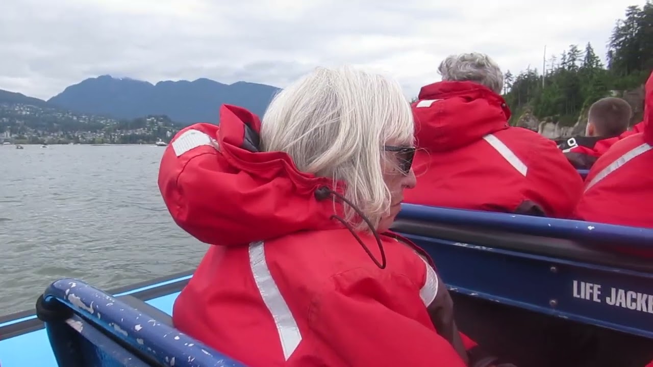 Looking for Seals on a Vancouver Boat Tour with a Local Guide!