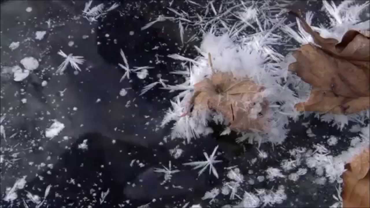 С кем сравнить Тебя...