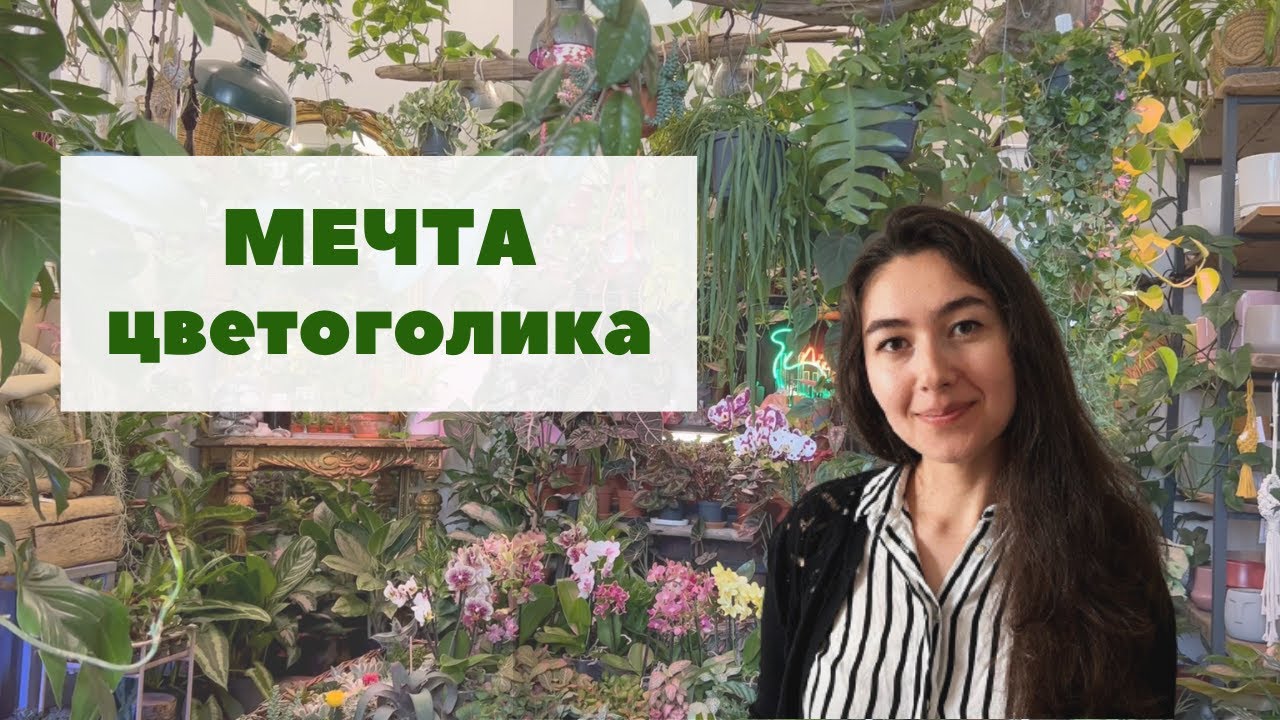 PRO. &Auml;nta's / ПРОГУЛКА по тропическому пространству + ОБЗОР магазина комнатных растений