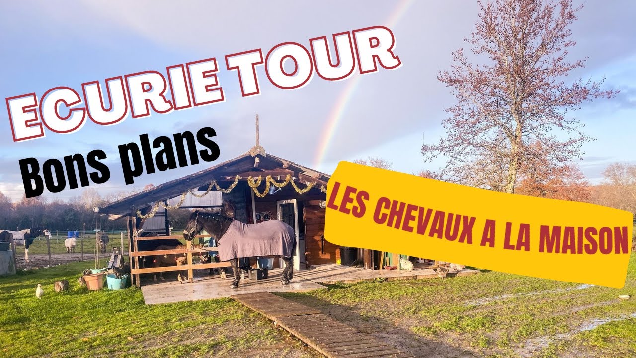 [ÉCURIE TOUR] mes écuries à la maison, je vous présente tout! 🐎🐎