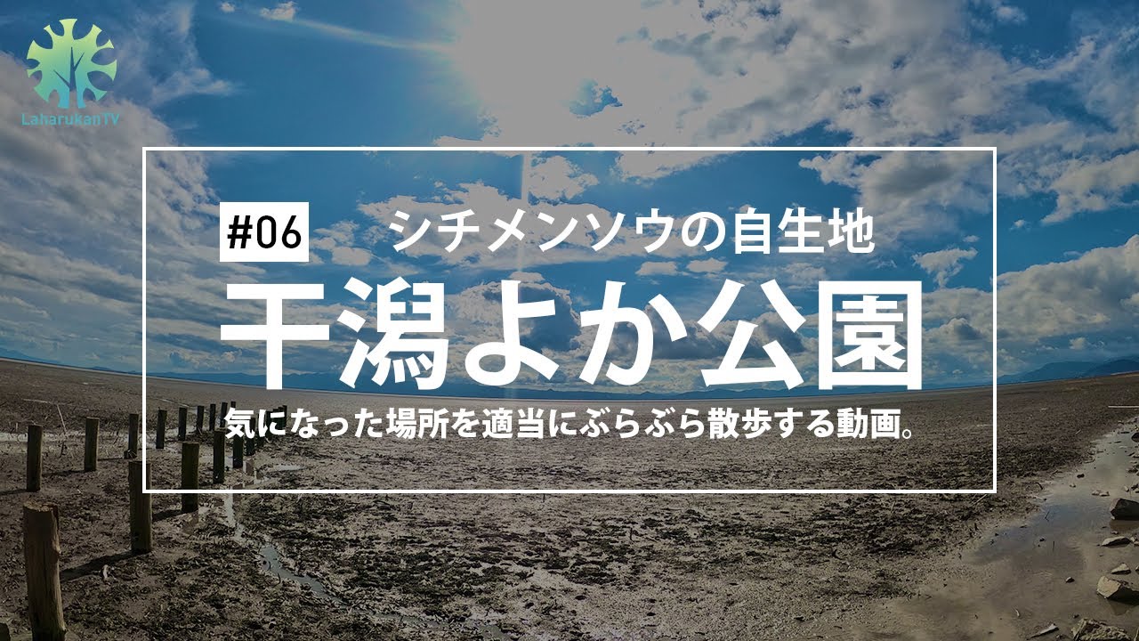 [散策] #06 — 有明海の干潟「干潟よか公園」で散歩をしました。
