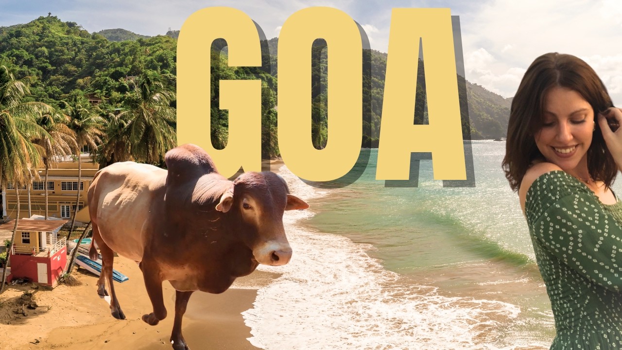 Which Goa Beach Should You Visit? 🇮🇳 (Watch Before You Go &mdash; Patnem, Palolem & Agonda!)