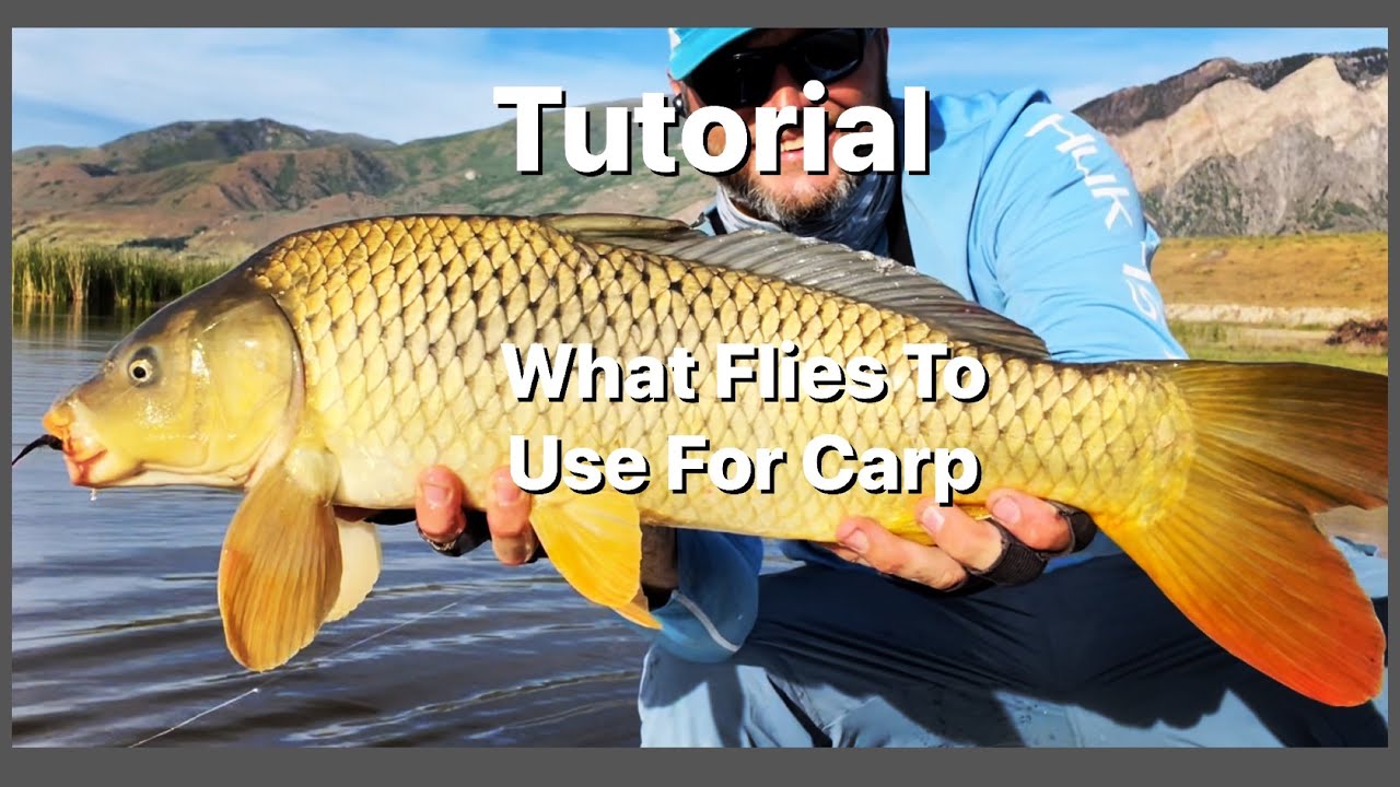 What Flies To Use For Carp - Flies I have in my Box - Carp Fly Fishing