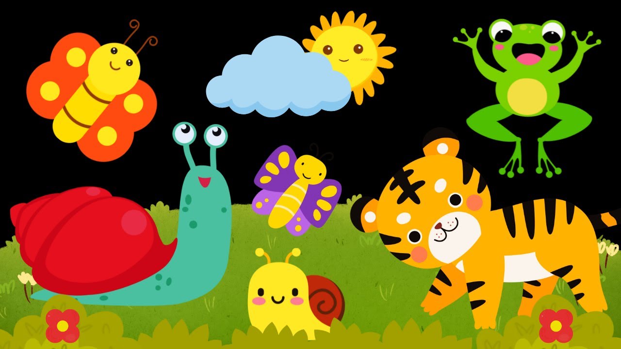 Baby Sensory Video - High Contrast - Sensory Videos for Babies - Visual Stimulation for Newborn