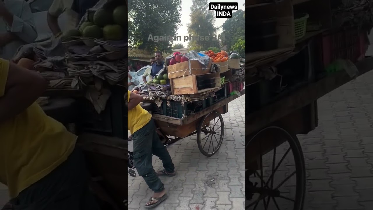 Punjab,Mohali Municipal Corporation, मोहाली में नगर निगम की बड़ी कार्रवाई अवैध कब्जे हटाए गए।