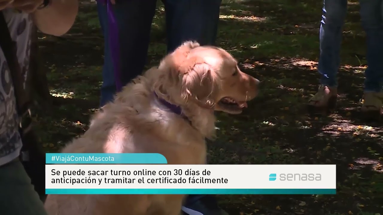 #ViajáConTuMascota - Darío Zalazar (Senasa Lazareto Cuarentenario)