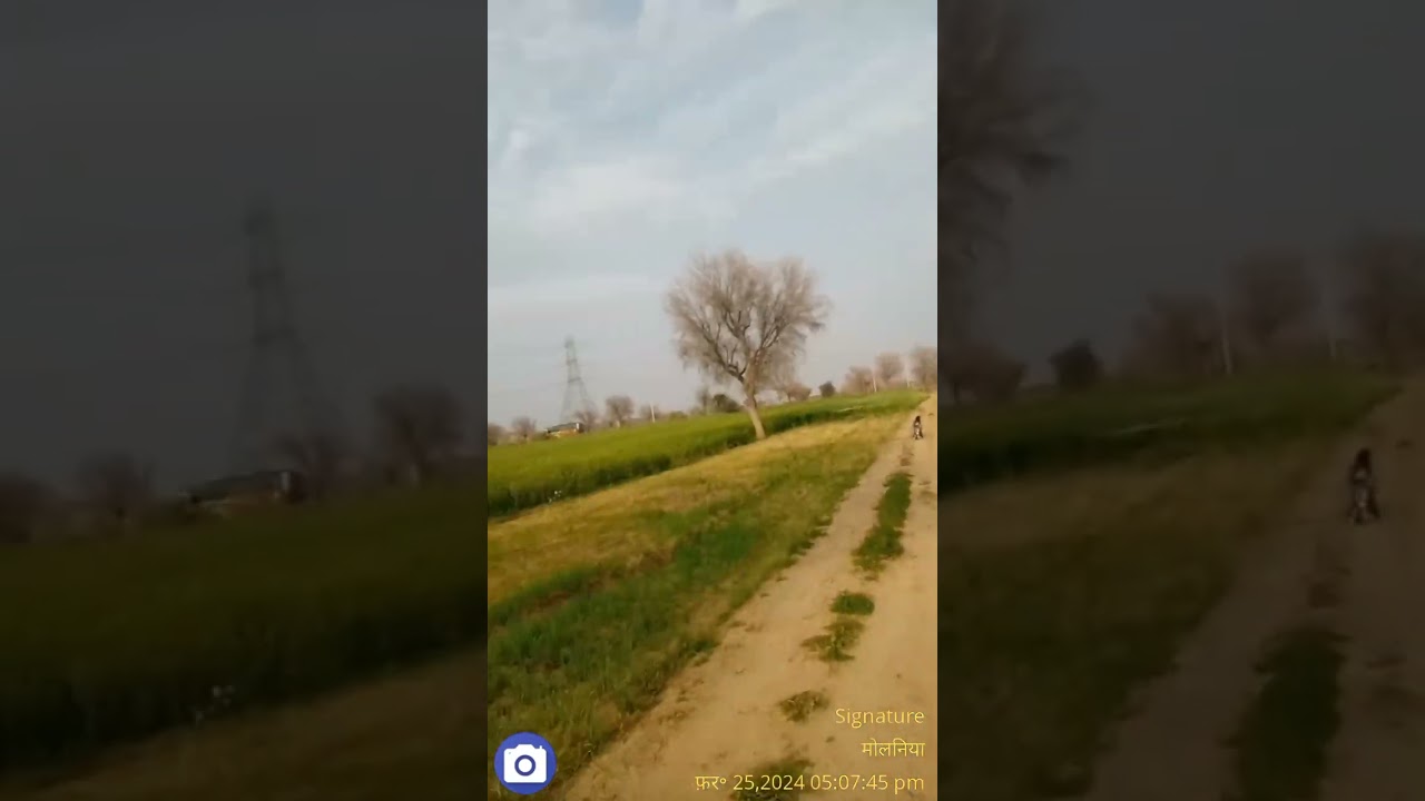 @bikaneragriculre land 150 bigha@agriculture land bikaner