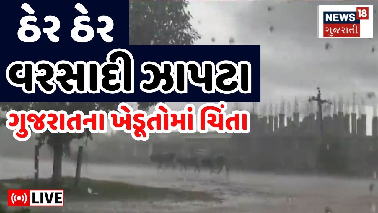 Ambalal Patel Live | હવામાન અંગે બે આગાહીકારોનું મોટું અનુમાન | Ramnikbhai Vamja | Rain In Gujarat