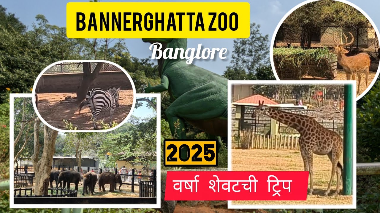 🐯 Last trip of 2025 annerghatta Biological Park| Banglore Zoo|  🦓🫎 @homebody_queen 