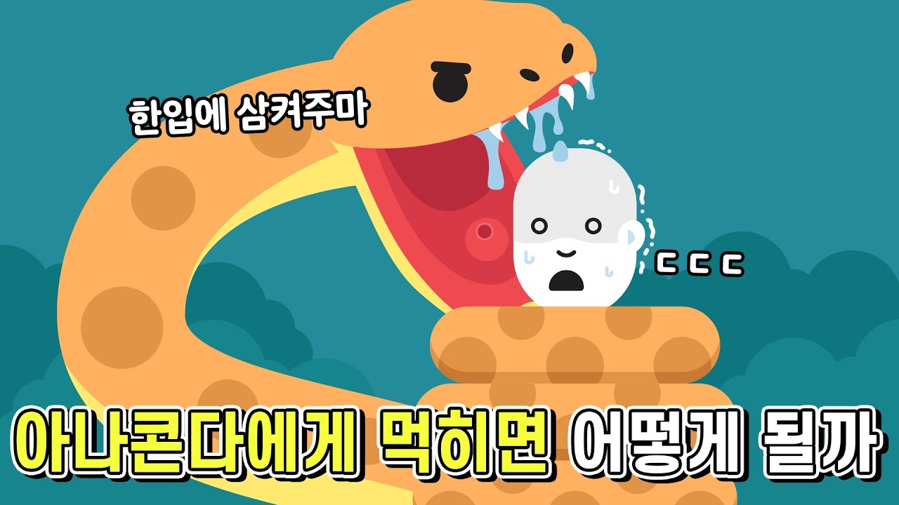 만약에 아나콘다에게 삼켜지면 어떻게 될까