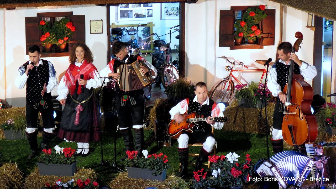 Ansambel Prebrisani muzikanti - V domači vasi (v živo)
