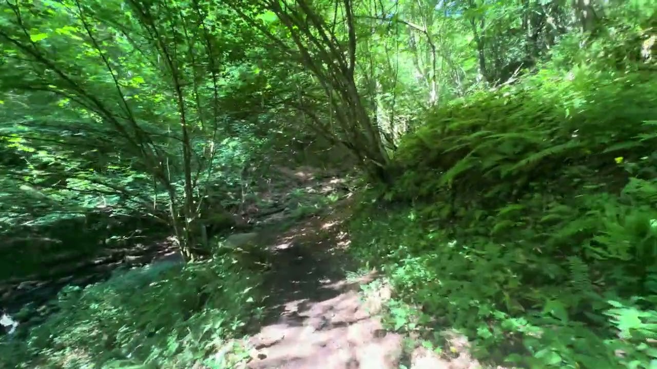 #Ruta r&iacute;o #Deva, de #Espinama a Las #Ilces