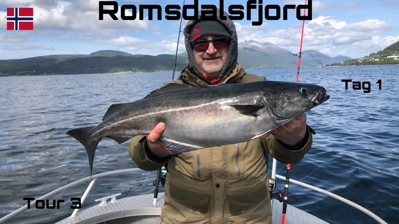 #20 Norwegen Angeln Fishing Romsdalsfjord Tour 3 | Tag 1 | Seelachs Köhler Pollack