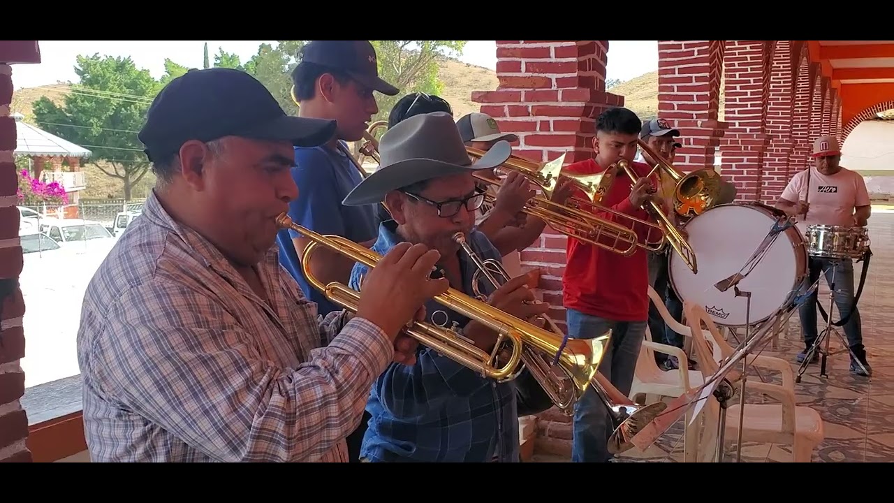 Para los Amantes de la Buena Música con la Banda de San Ildefonso Salinas.   ( Aires del Toro Loco )