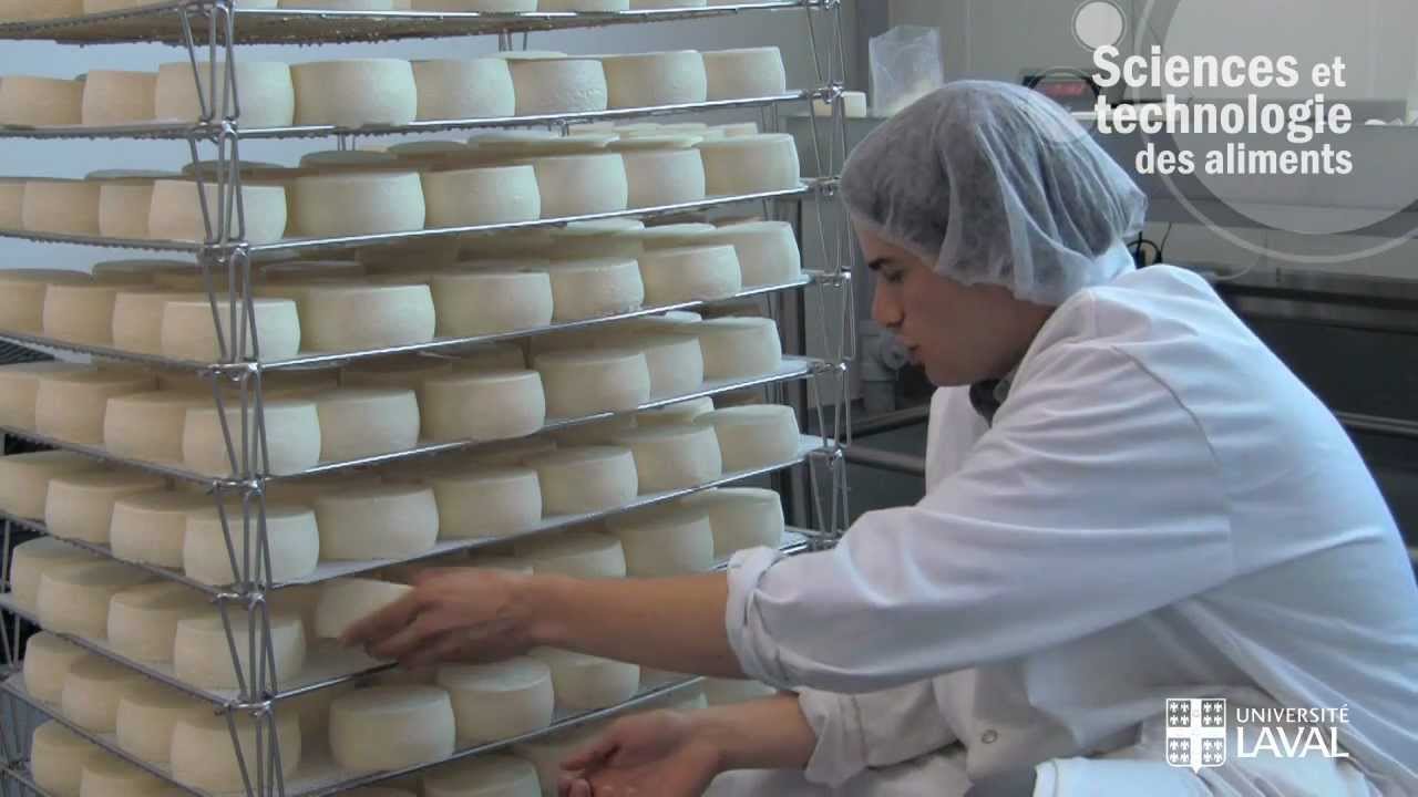 Le programme en sciences et technologie des aliments de l'Universit&eacute; Laval