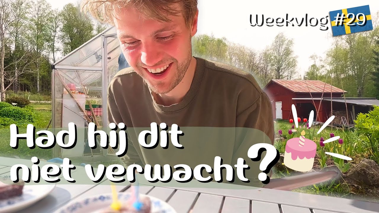 HAROLDS VERJAARDAG🎉 | Zomer in Zweden & De tomaten in de kas 🐥/ #29