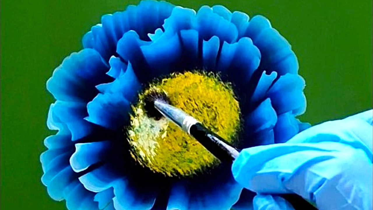 Jolie fleur bleu, tutoriel onestroke