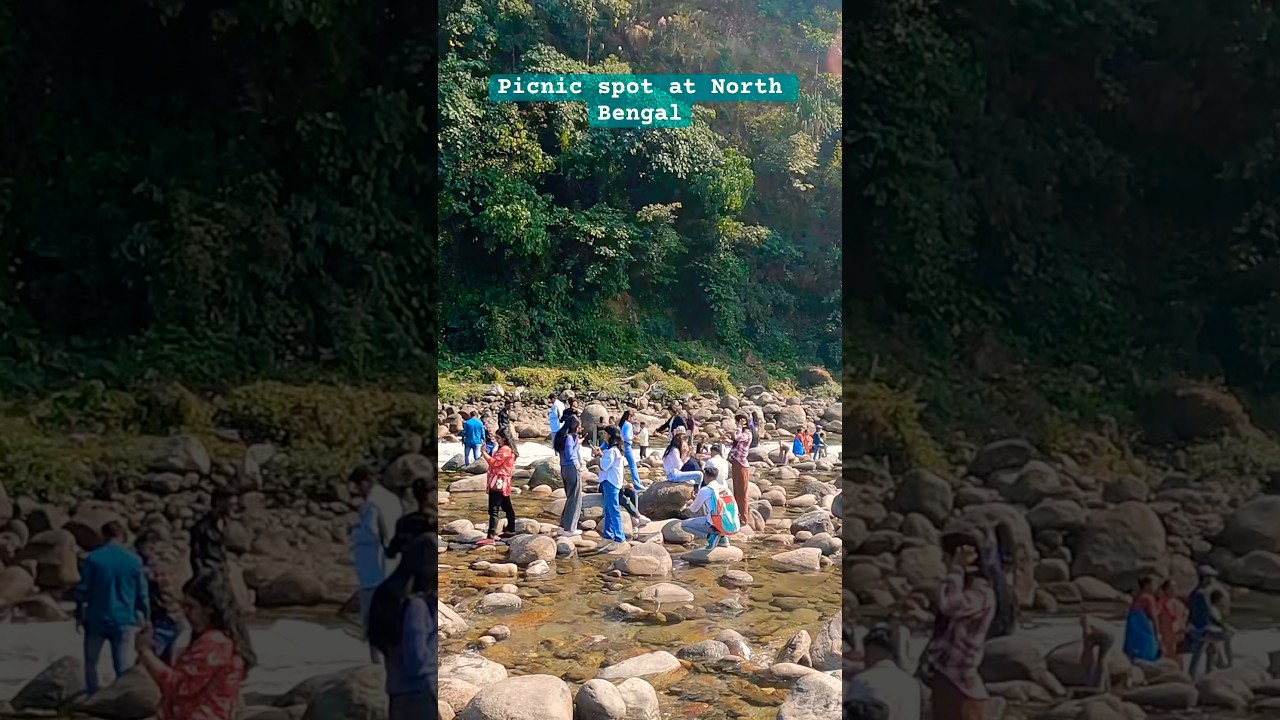 Jhalong picnic spot at North Bengal weekend trips #dailyshorts #dailyreels #shorts  #youtubeshorts
