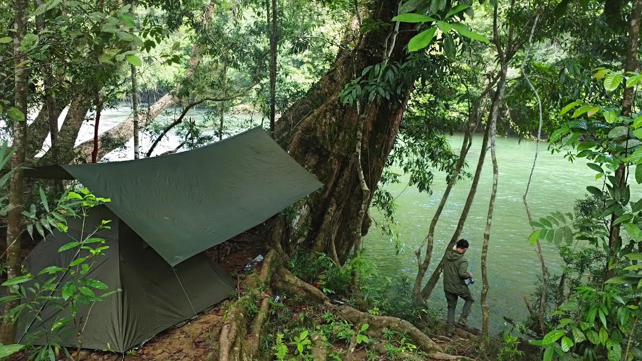 Nekat solo camping tengah hutan kalimantan di bawah pohon besar gudang ikan