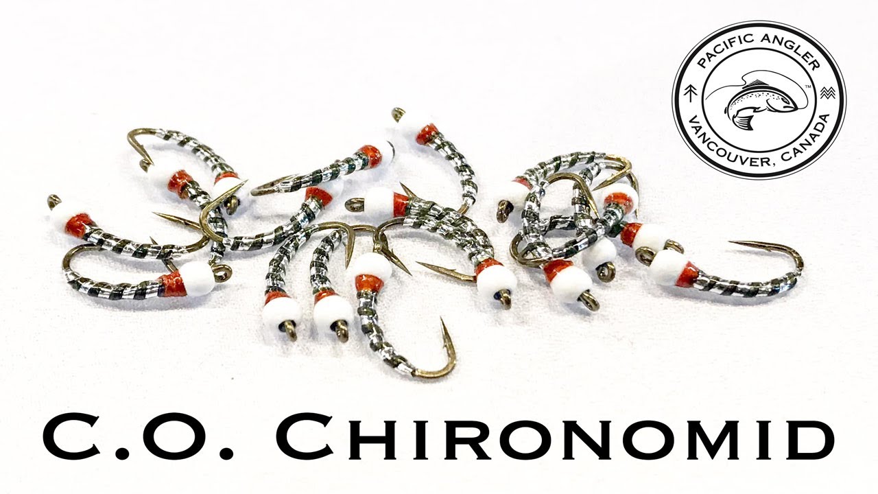 The CO Chroni - Pacific Angler Fly Tying - A Go To Simple Chironomid pattern for Lake Fishing in BC
