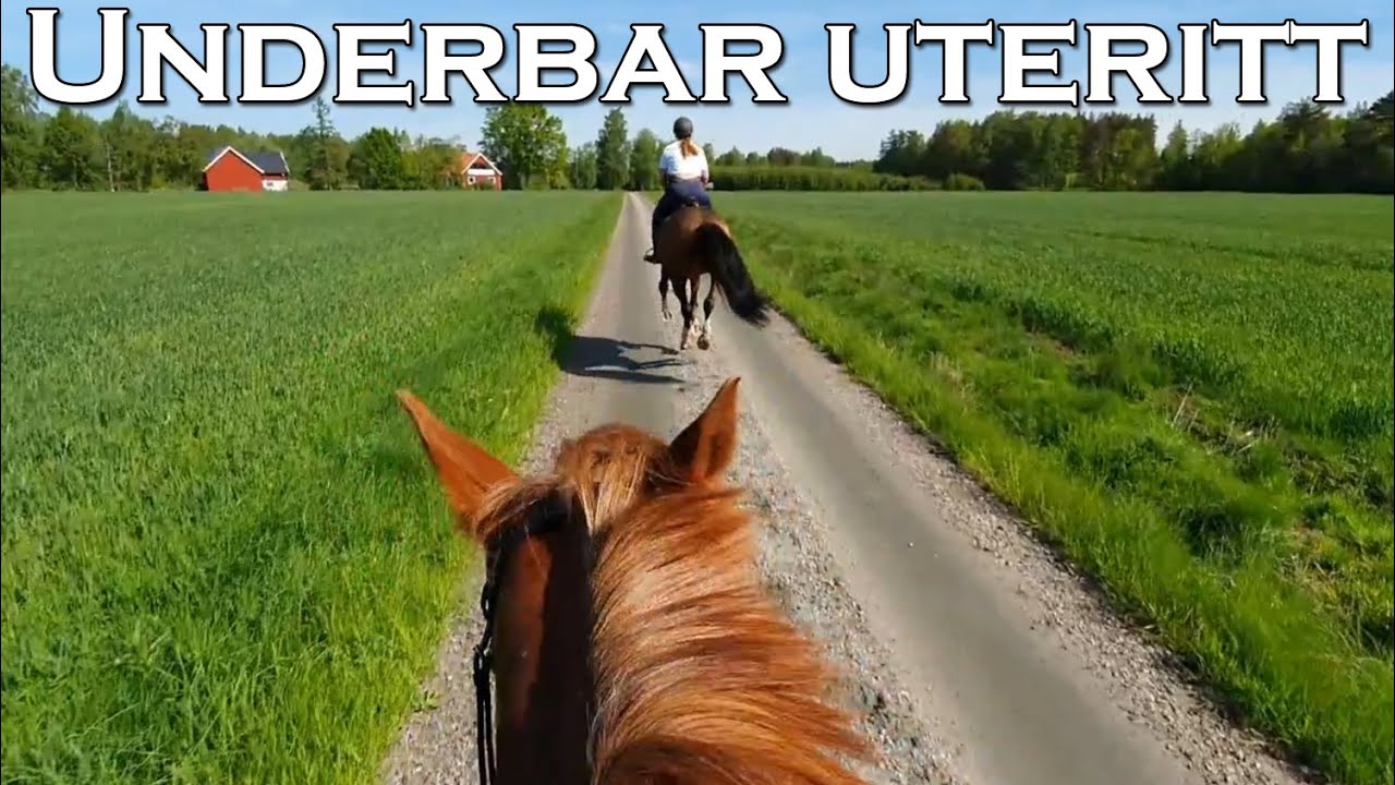 UTERITT MED GOPRO + M&Aring;LAR OM PADDOCKEN - stallvlogg