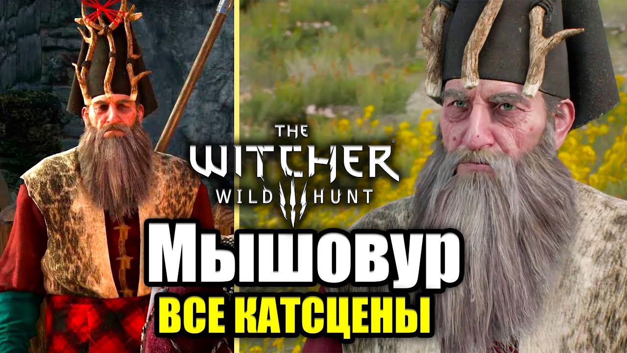 Мышовур ВСЕ КАТСЦЕНЫ &mdash; The Witcher 3 Wild Hunt