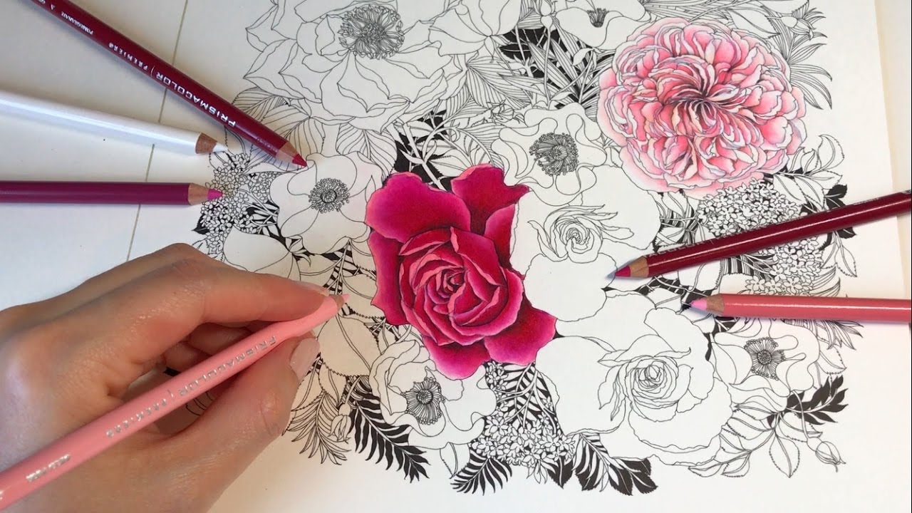 ROSE DRAWING WITH COLORED PENCILS | Rose Garden - Part 2: Floribunda Coloring Book