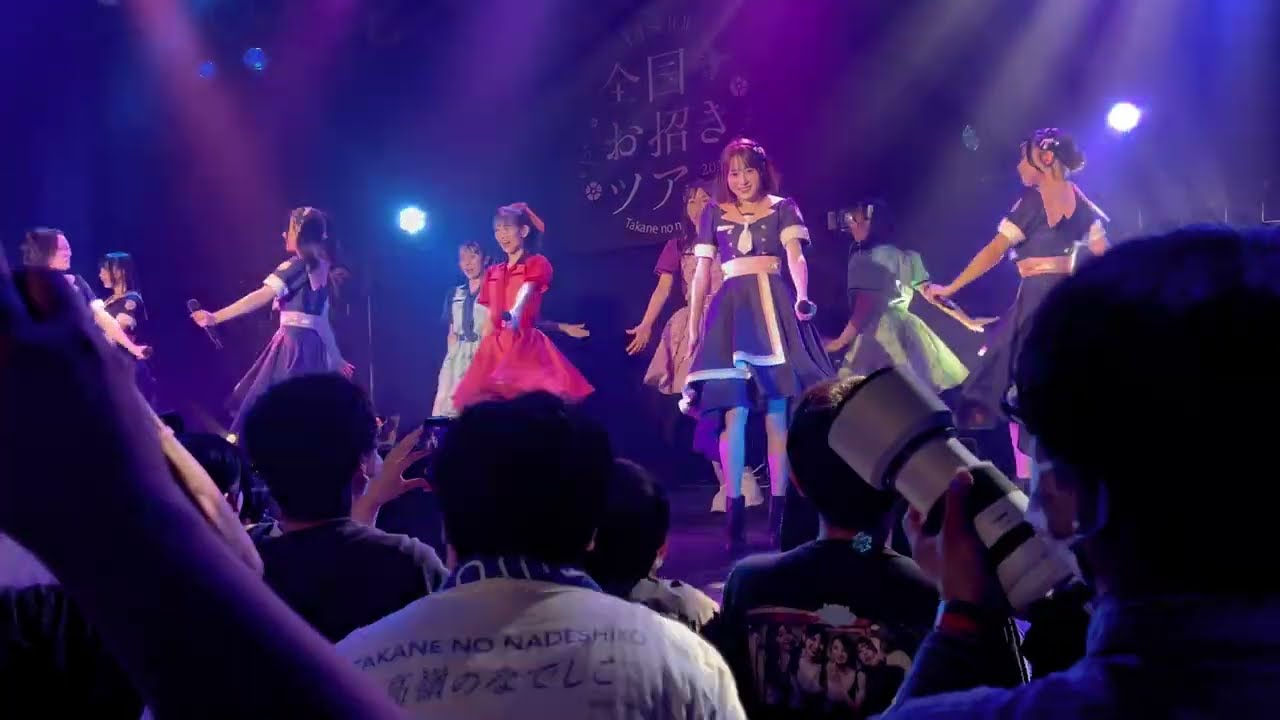 【4K】可愛くてごめん（高嶺のなでしこ & TEAM SHACHI）