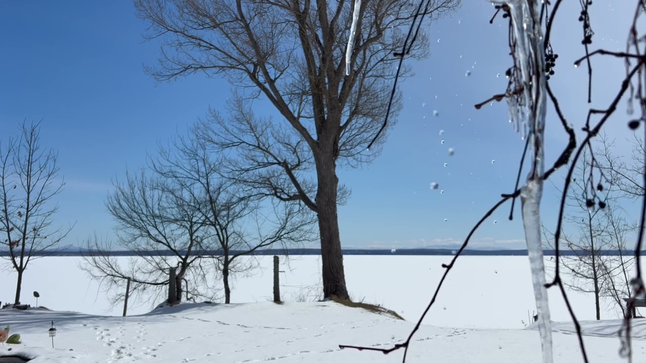 Hello Spring | Ice Melting Ambience | Spring in Canada | Beep Travels.