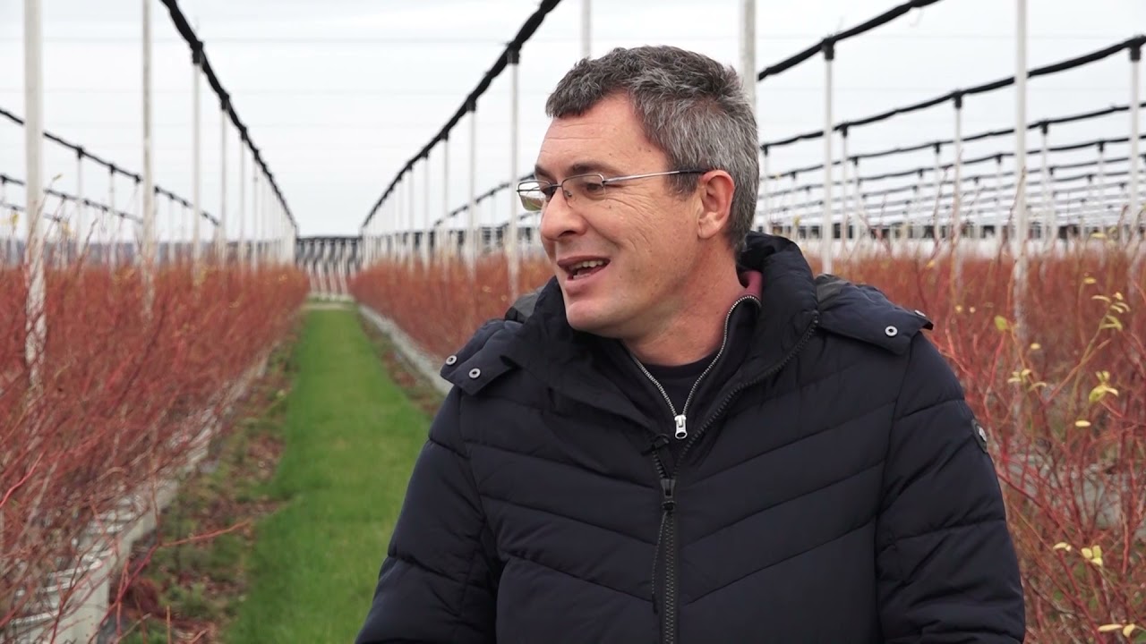 Agro karavan ep.205 - Grabovci - 05.12.2021.