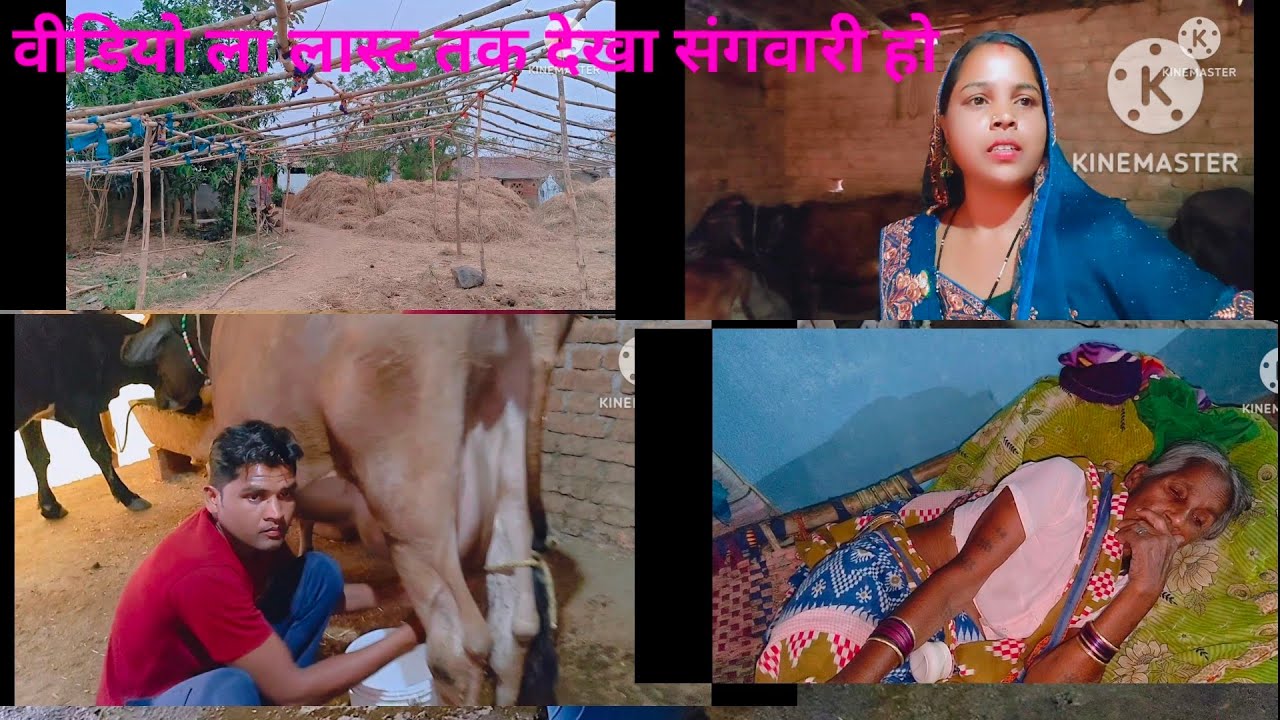 पतिदेव हा दुध निकालत हे गाय के 🐄🐄