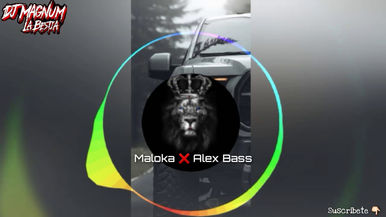 Maloka ❌ ALEX BASS ( Guaracha , Aleteo , Zapateo ) Dj Magnum Channel Official 2k19⚡
