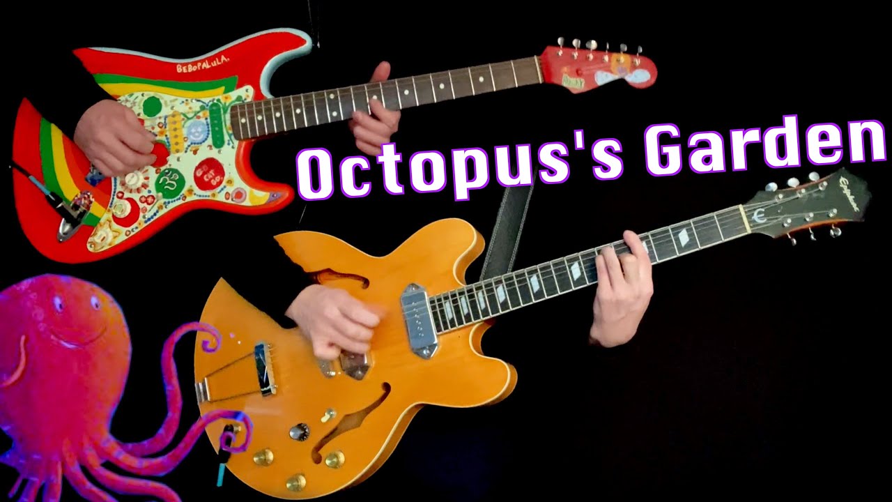 Octopus's Garden | Lead & Rhythm Cover | Strat and Casino