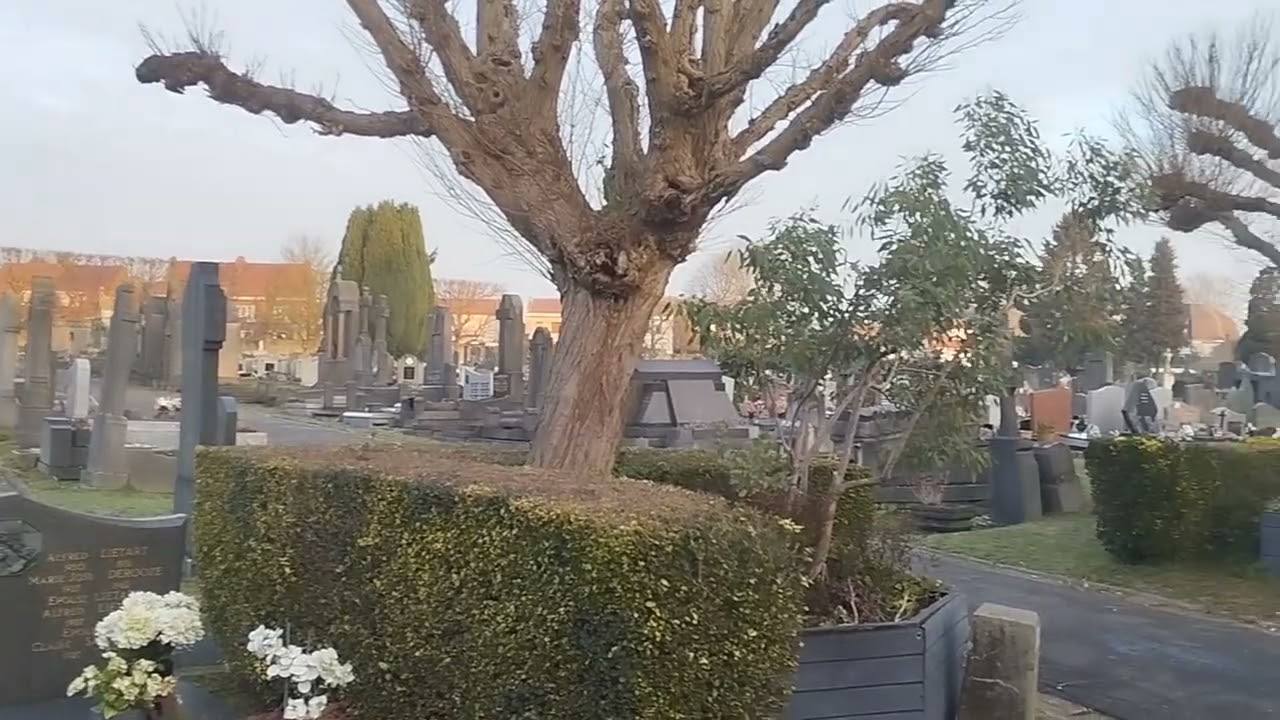 Lever du soleil dimanche matin au bord du canal de Roubaix