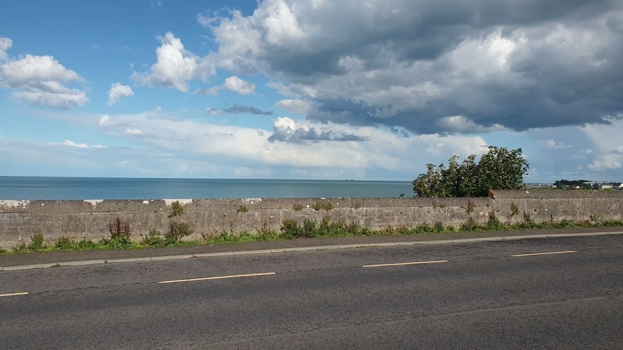 Wild birds Irish Sea and  Irish Coastline  Balbriggan.  Ireland. Roads views ireland.